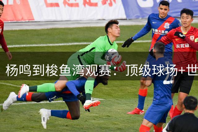 杨鸣到梭鱼湾观赛：顶级球场+世界级球迷文化=大连足球城底蕴